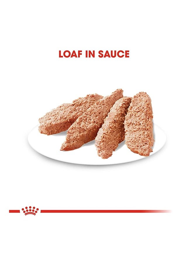 رويال كانين طعام رطب للكلاب من إكسيجنت لجميع الأحجام - 85 غرام - Image 2